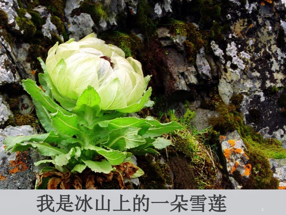 中华少年朗诵背景ppt课件.ppt_第3页