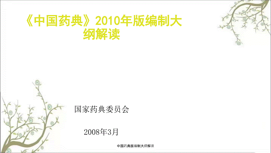中国药典版编制大纲解读课件.ppt_第1页