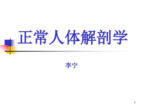 人体解剖学运动系统.ppt