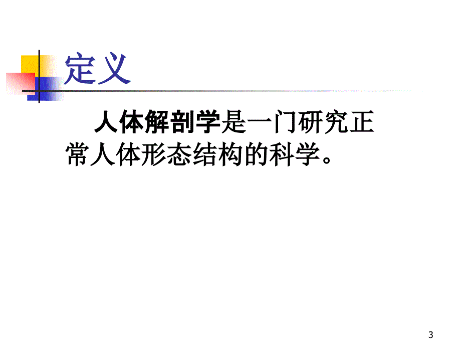 人体解剖学运动系统.ppt_第3页