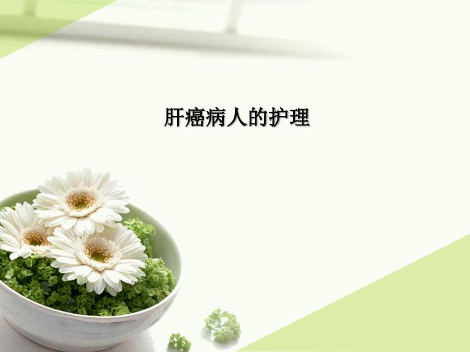 原发性肝癌的护理课件.ppt_第1页