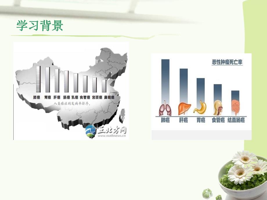 原发性肝癌的护理课件.ppt_第3页