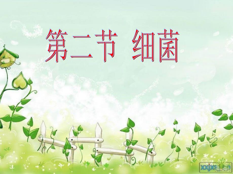 人教版八年级生物上册.细菌课件.ppt_第3页