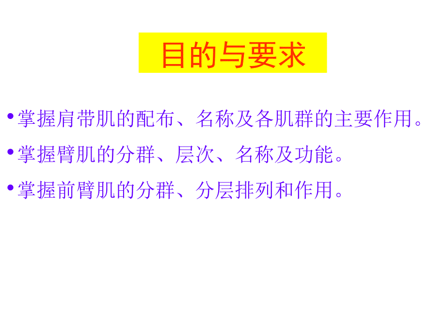上肢肌ppt课件.ppt_第1页