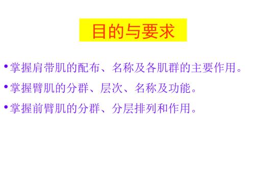 上肢肌ppt课件.ppt