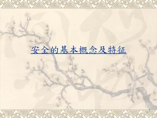 安全的基本概念及特征.ppt