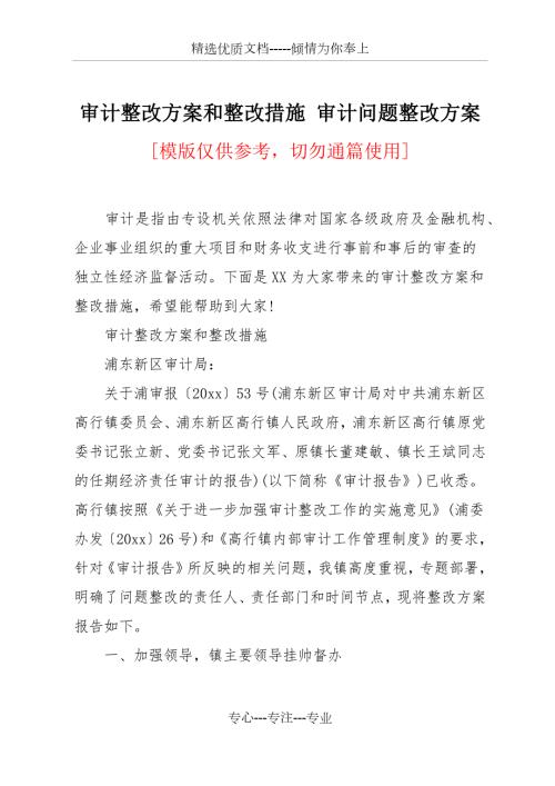 审计整改方案和整改措施共11页.docx
