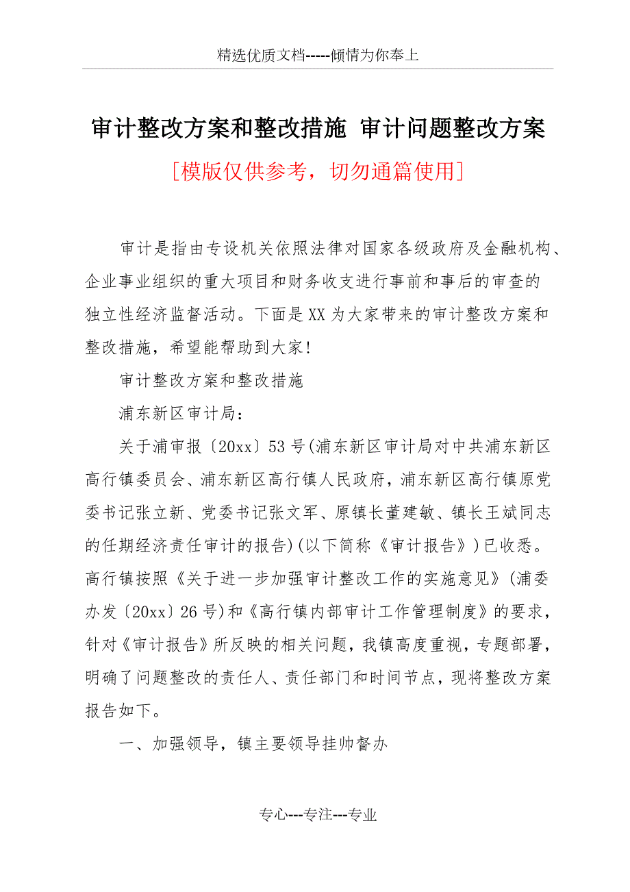 审计整改方案和整改措施共11页.docx_第1页