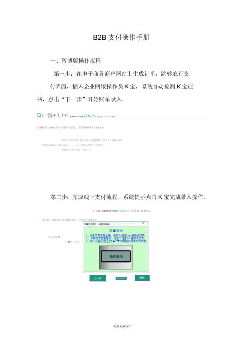 中国农业银行B2B支付操作手册.docx