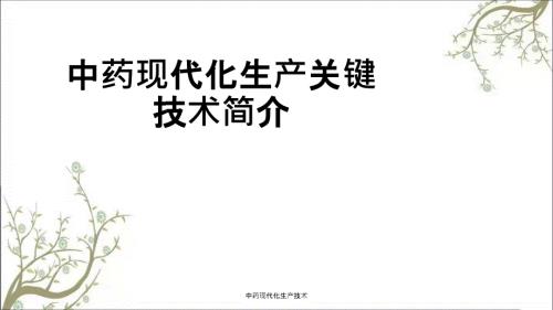 中药现代化生产技术.ppt