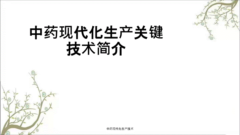 中药现代化生产技术.ppt_第1页