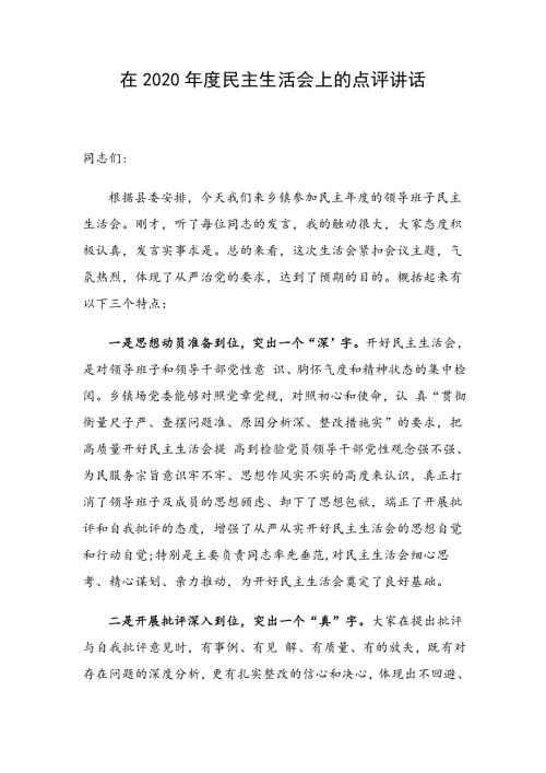 在2020民主生活会上的点评讲话.doc