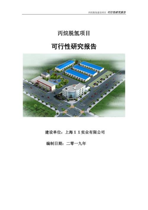 丙烷脱氢项目可行性研究报告申请定稿.doc