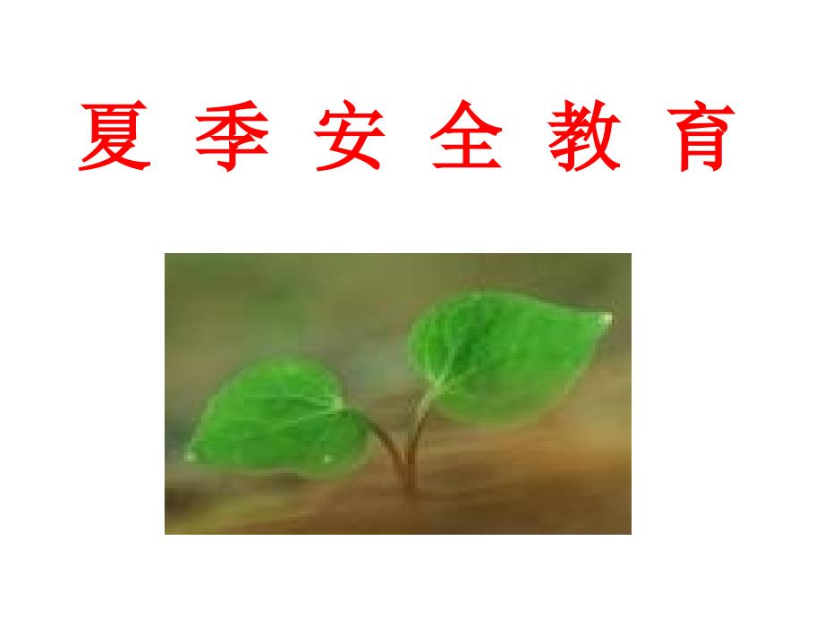 夏季安全教育PPT课件.ppt_第1页