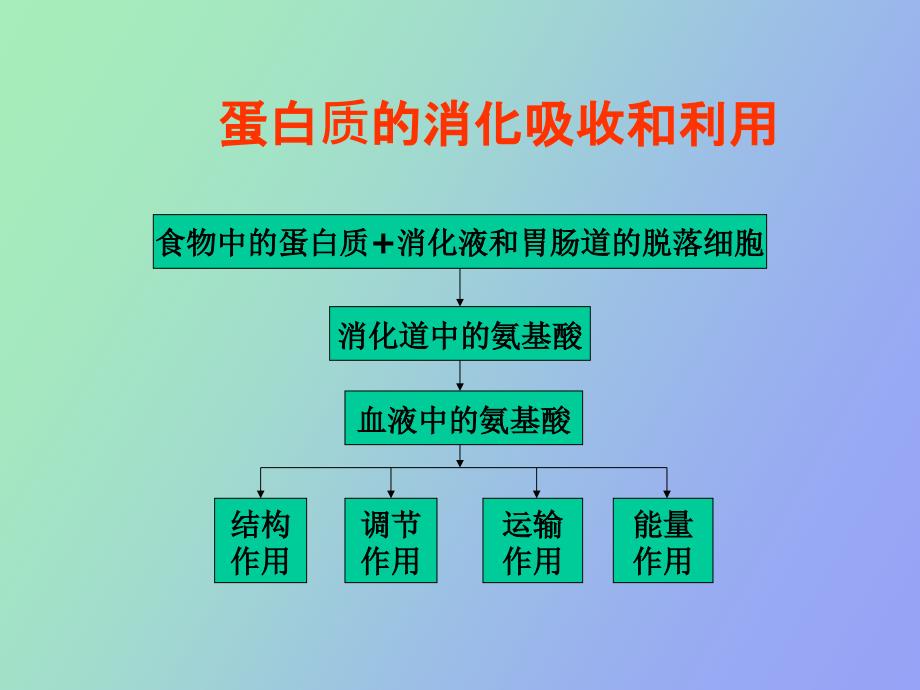 大豆蛋白完整.ppt_第3页