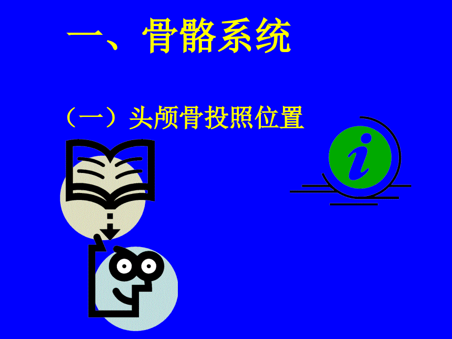 人体各部位X线摄影技术课件.ppt_第2页