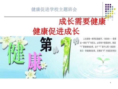 健康促进学校主题班会ppt课件.ppt