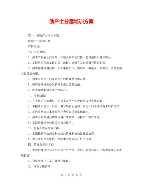 助产士分层培训计划.doc