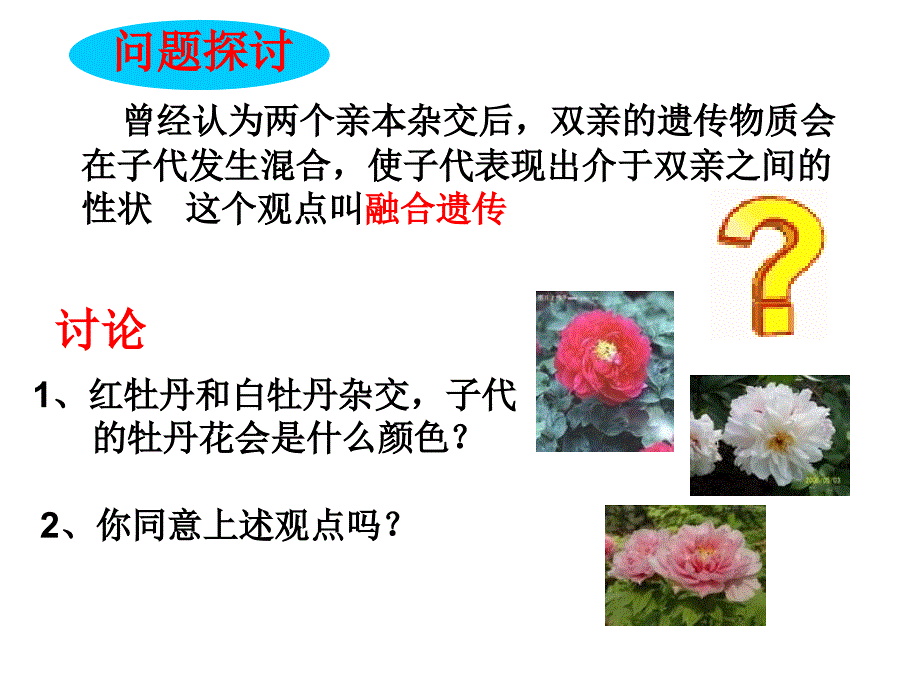 孟德尔的豌豆杂交实验一好.ppt.ppt_第2页