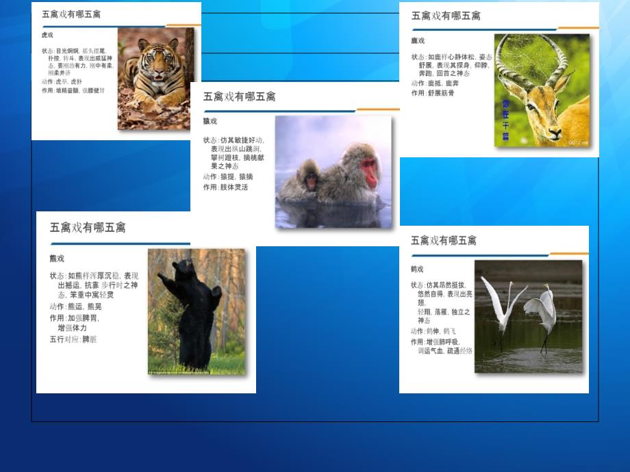 健身气功五禽戏PPT课件.ppt_第3页