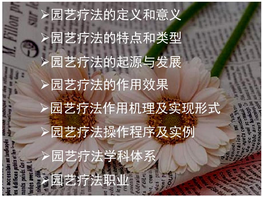 园艺疗法PPT课件完整版.ppt_第2页