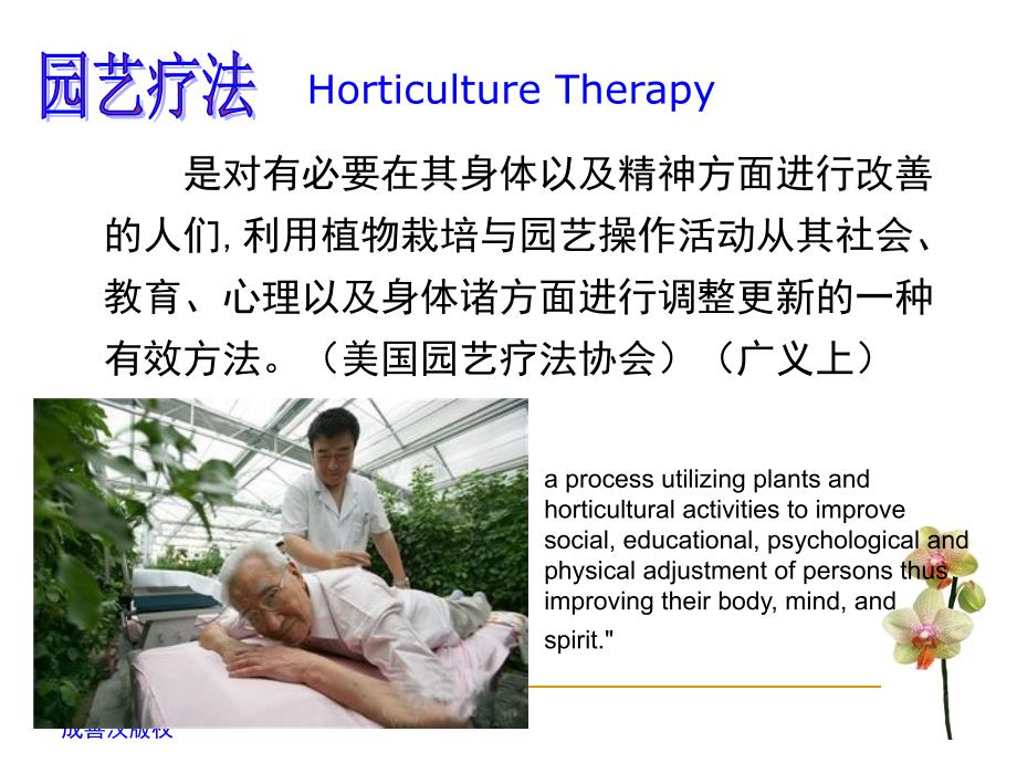 园艺疗法PPT课件完整版.ppt_第3页