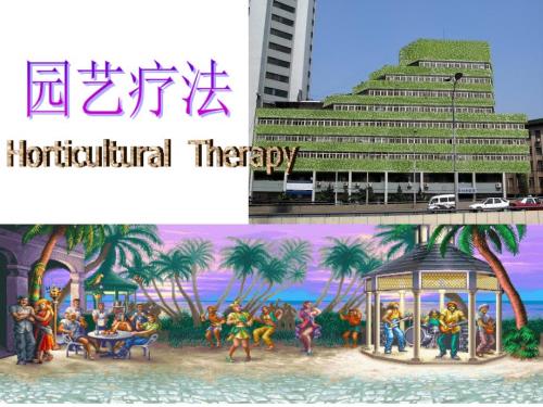 园艺疗法PPT课件完整版.ppt