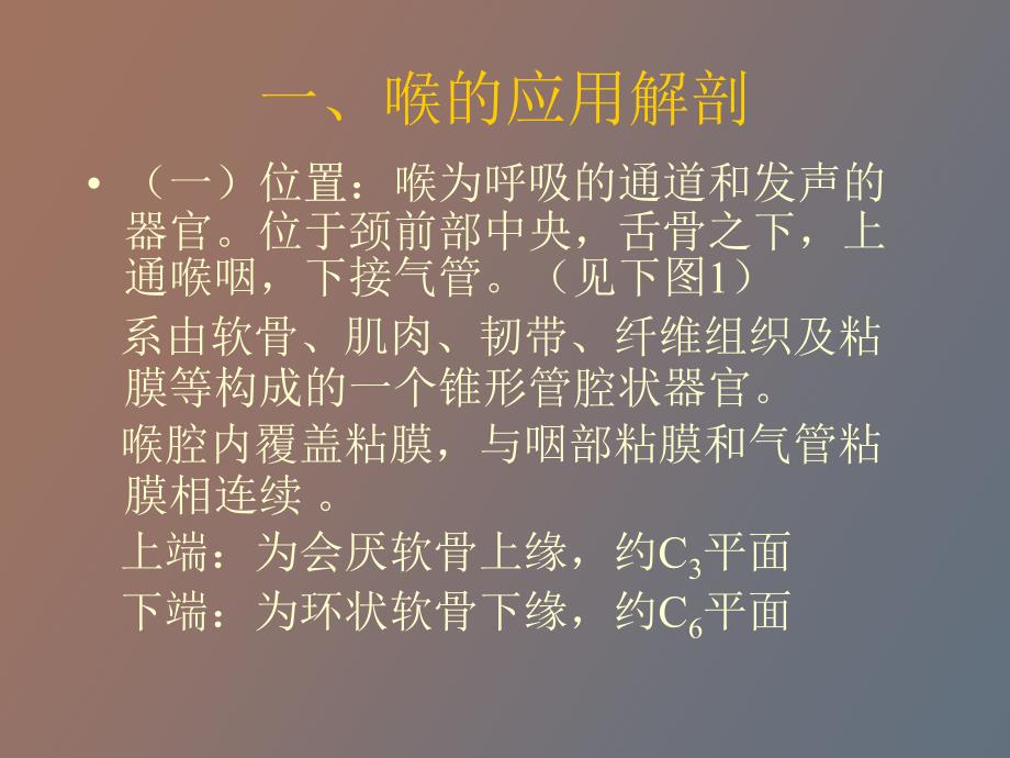 喉的应用解剖及生理.ppt_第2页