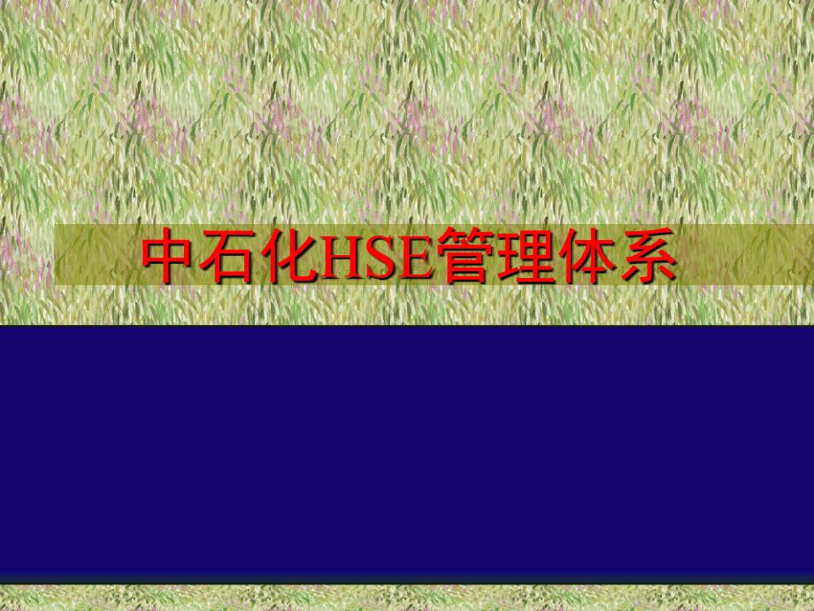 中石化HSEPPT课件.ppt_第1页