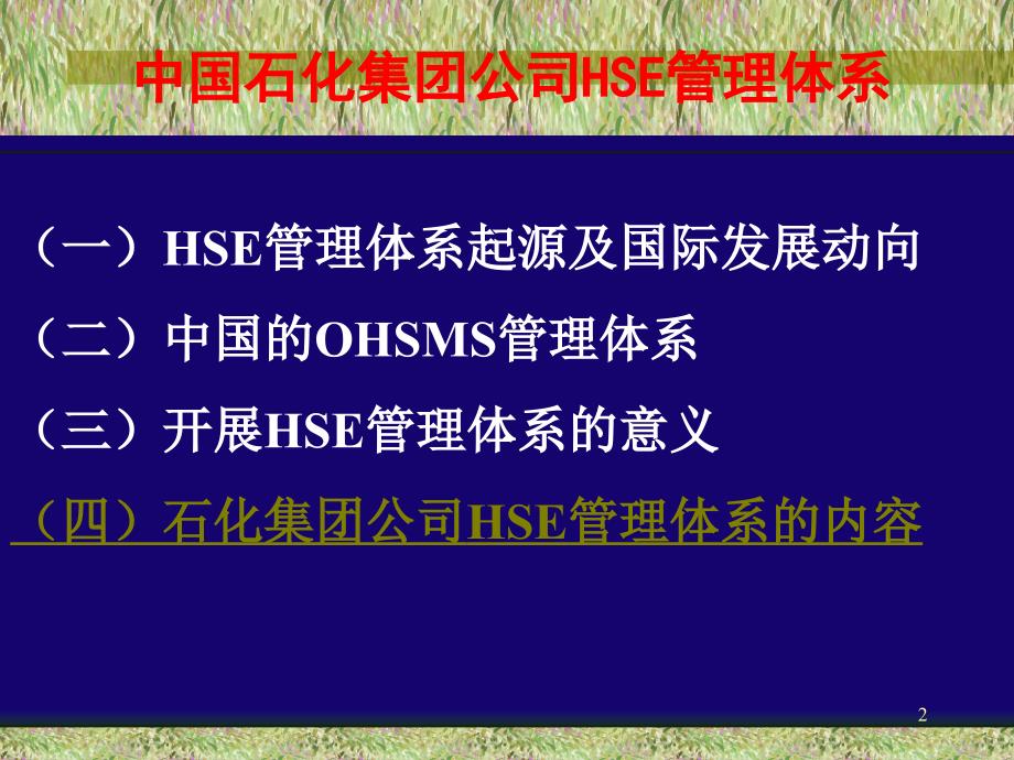 中石化HSEPPT课件.ppt_第2页