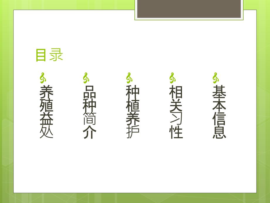 多肉植物介绍PPT课件.ppt_第2页