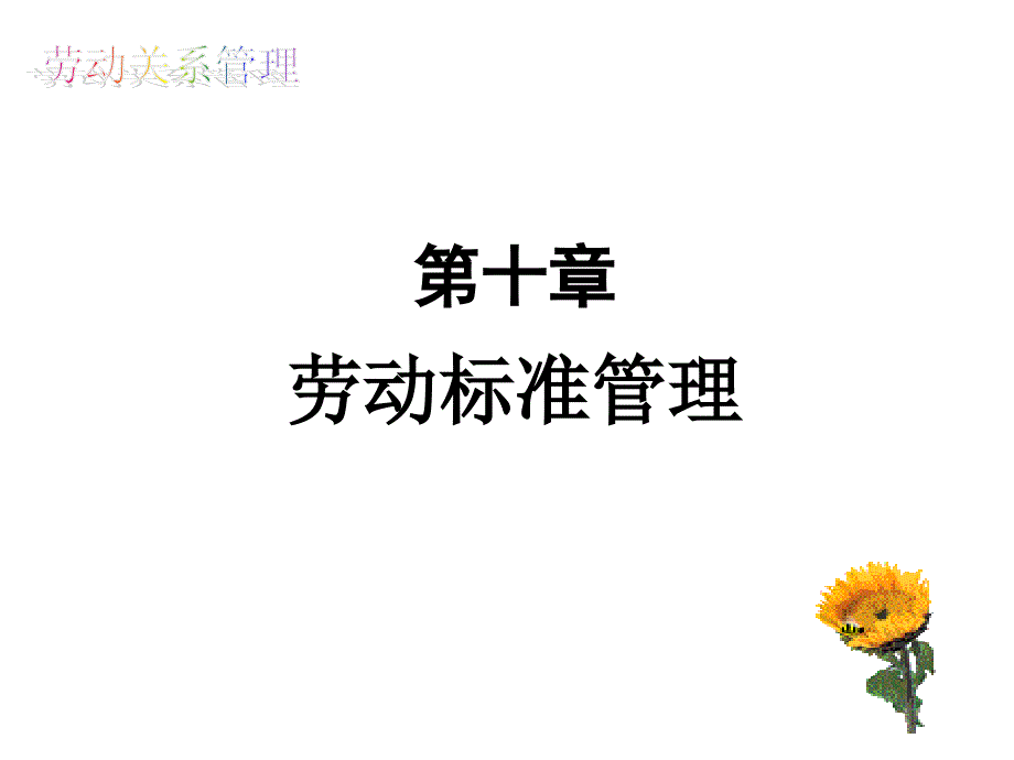 劳动标准管理PPT课件.ppt_第1页
