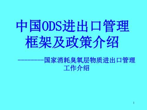 中国ODS进出口管理.ppt