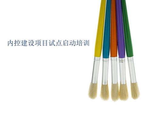 内控建设项目试点启动培训.ppt