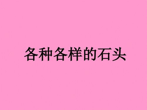 各种各样的石头课件.ppt