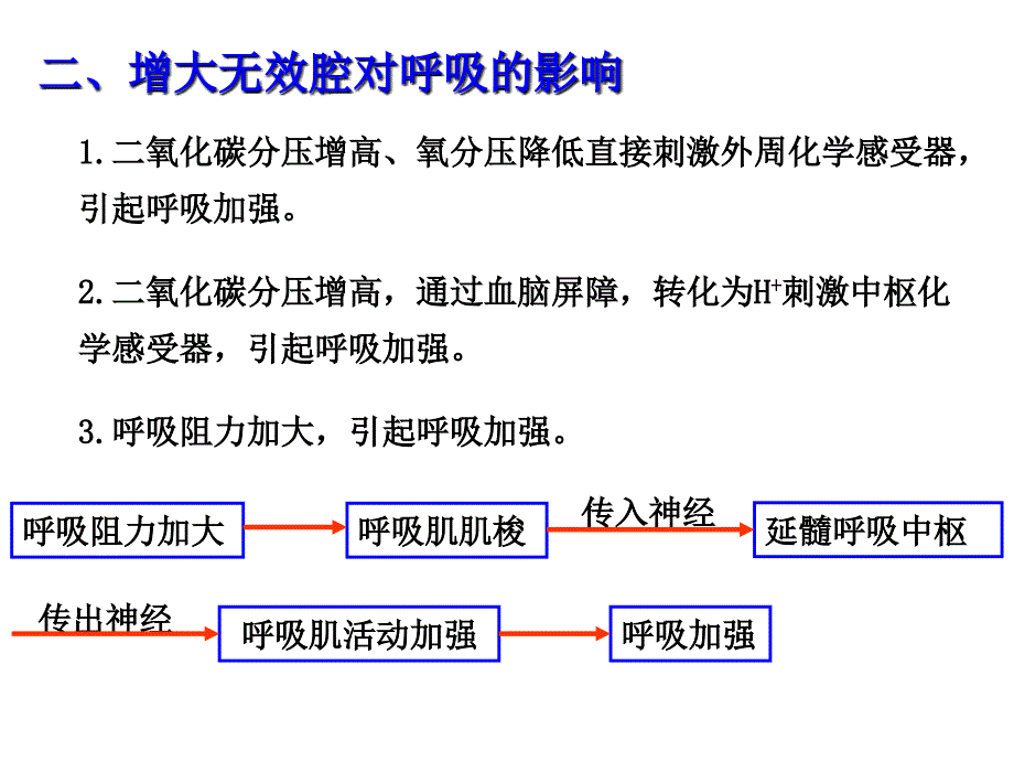 呼吸运动的调节PPT课件.ppt_第3页
