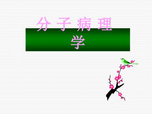 分子病理学PPT课件.ppt