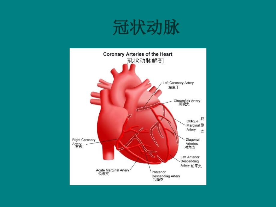 冠心病的常规护理.ppt_第2页