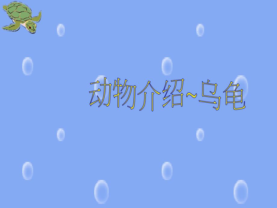 乌龟介绍PPT课件.ppt_第1页