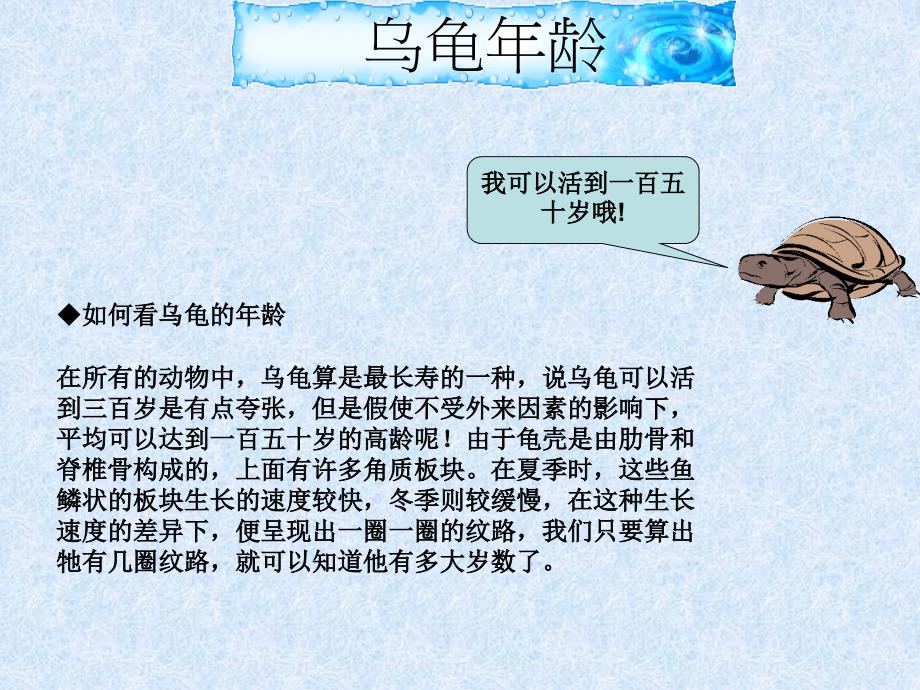 乌龟介绍PPT课件.ppt_第3页