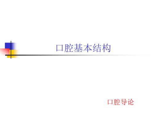 口腔基本结构课件.ppt