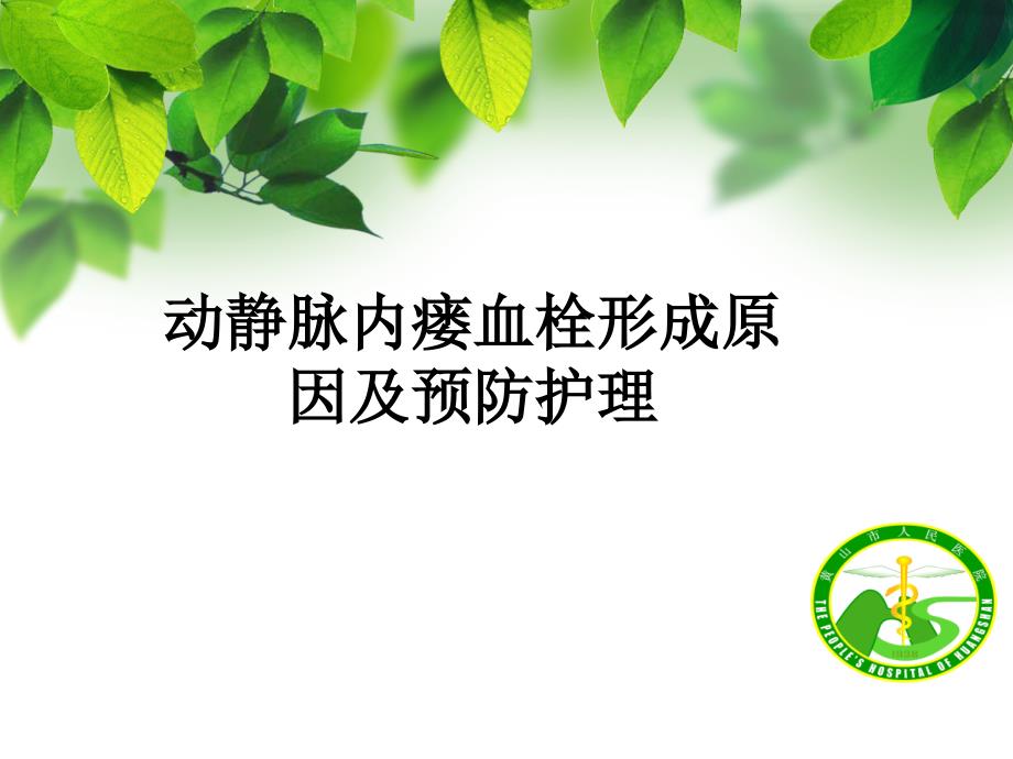 动静脉内瘘血栓PPT课件.ppt_第1页