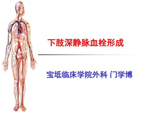 下肢深静脉血栓讲课.ppt