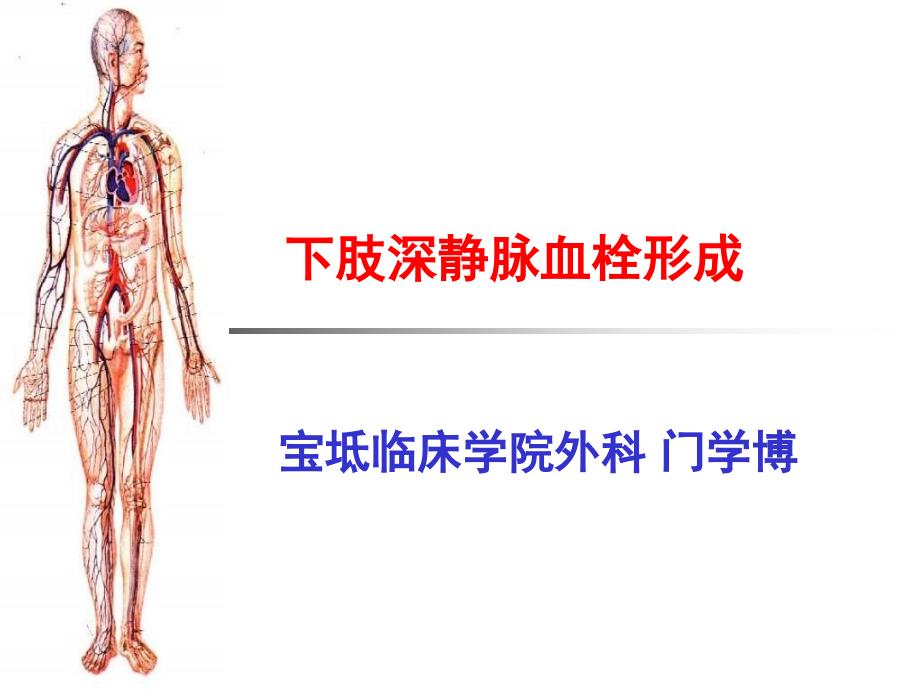 下肢深静脉血栓讲课.ppt_第1页