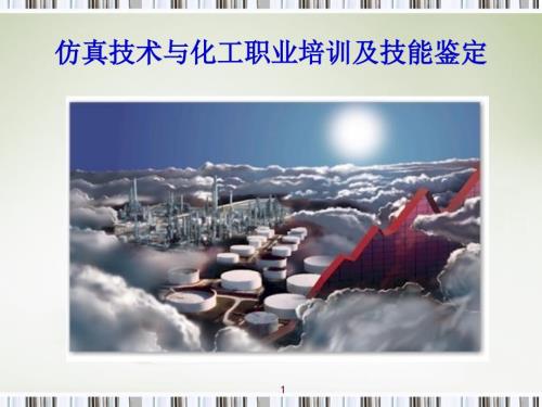 仿真技术与化工职业培训及技能鉴定.ppt