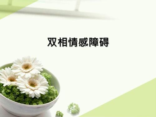 双向情感障碍课件.ppt
