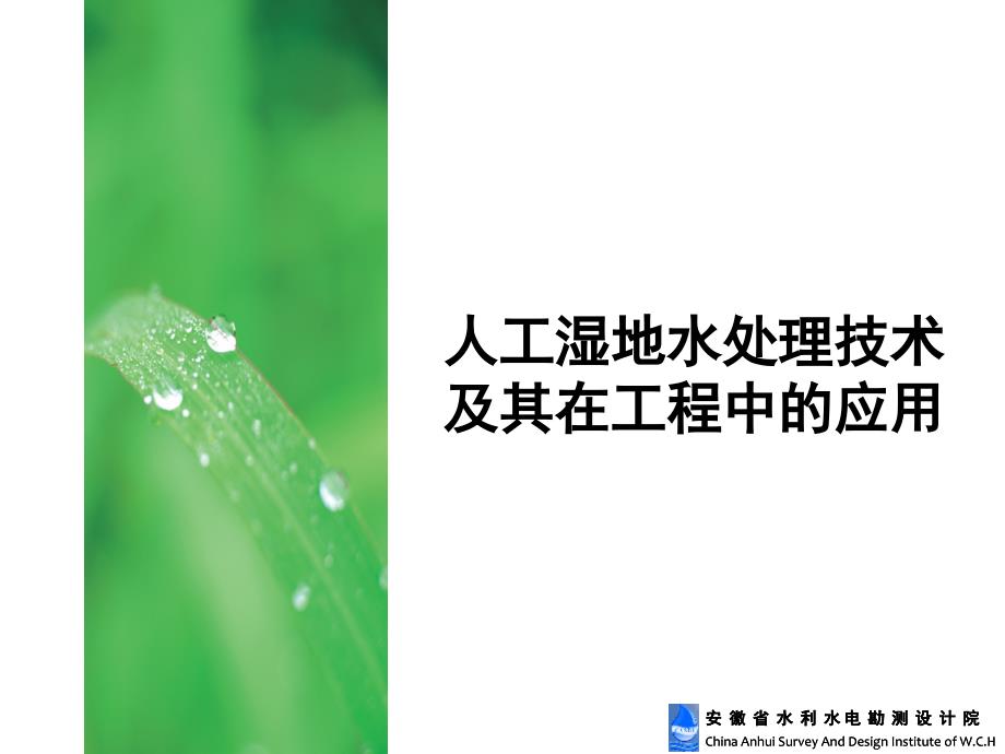 人工湿地PPT课件.ppt_第1页