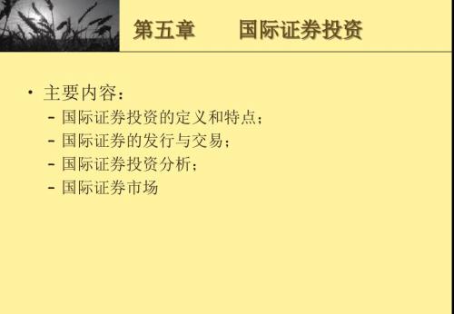 国际证券投资PPT课件.ppt