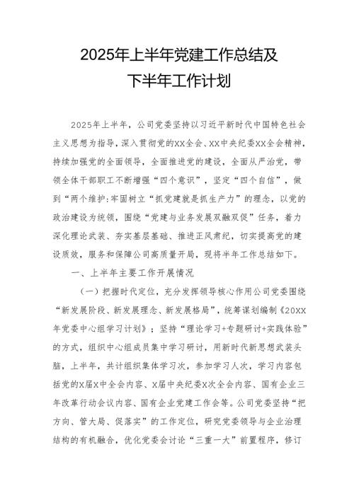 2025年上半年党建工作总结及下半年工作计划合计3份.docx