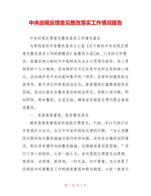 中央巡视反馈意见整改落实工作情况报告.doc